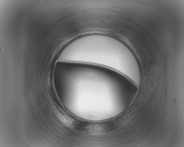 X0000079310299200611170902
