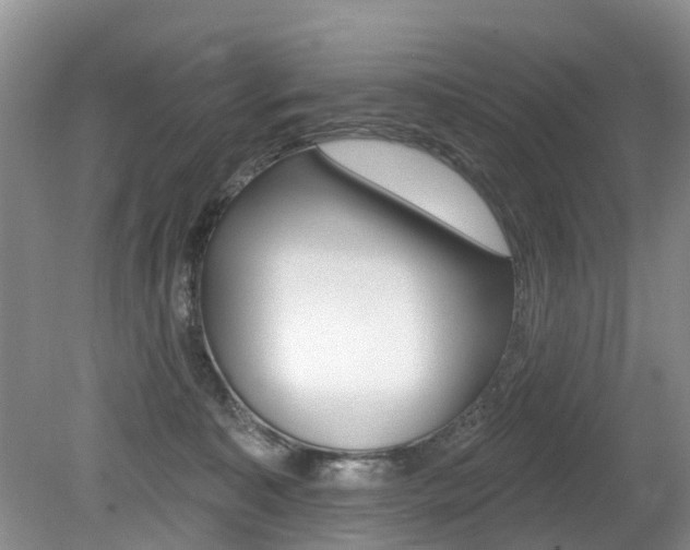 X0000079310323200611170901