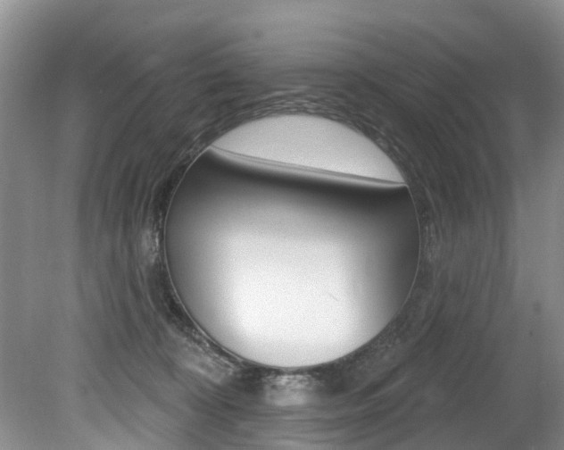 X0000079310324200611170901