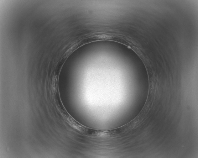 X0000079310325200611170901