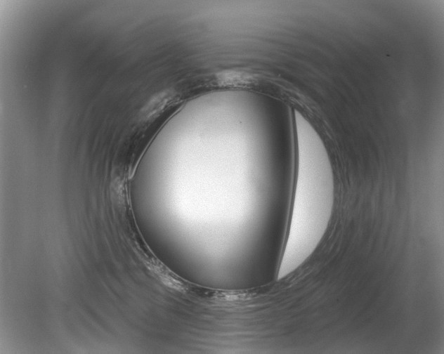 X0000079310329200611170901