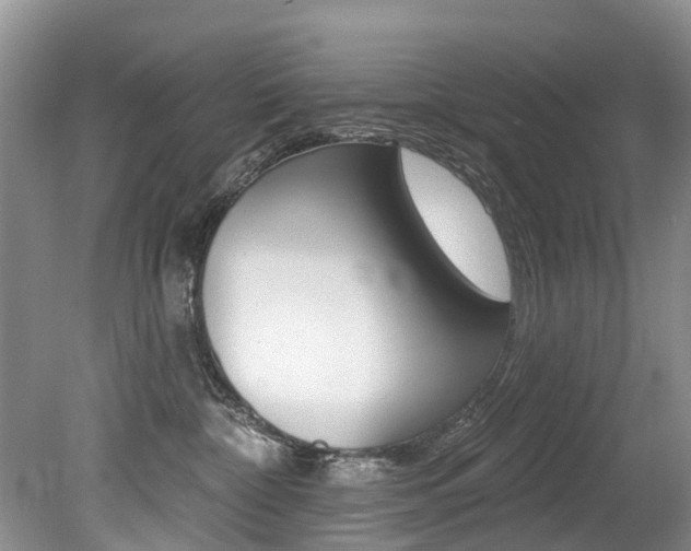 X0000079310332200611170901