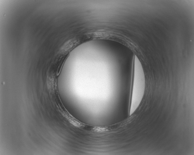 X0000079310333200611170901