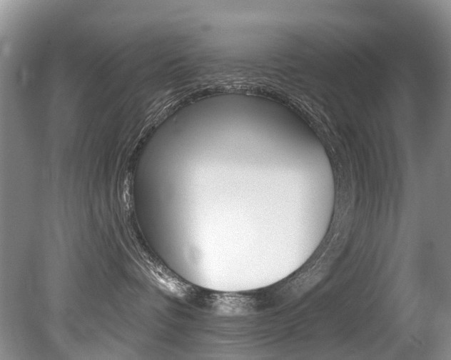 X0000079310336200611170901