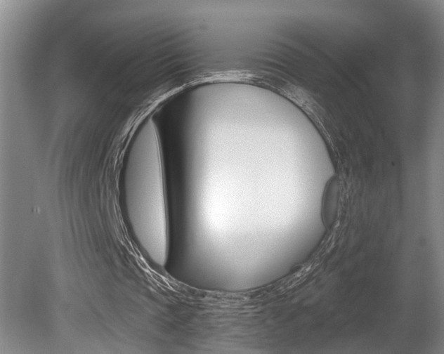 X0000079310337200611170900