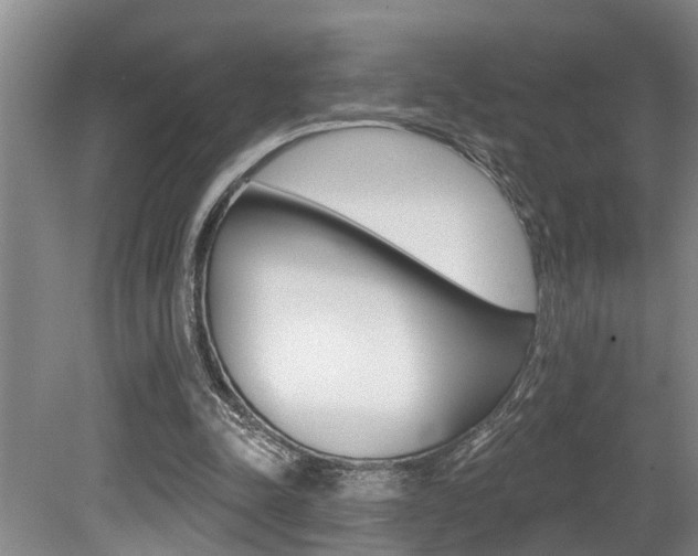 X0000079310342200611170900