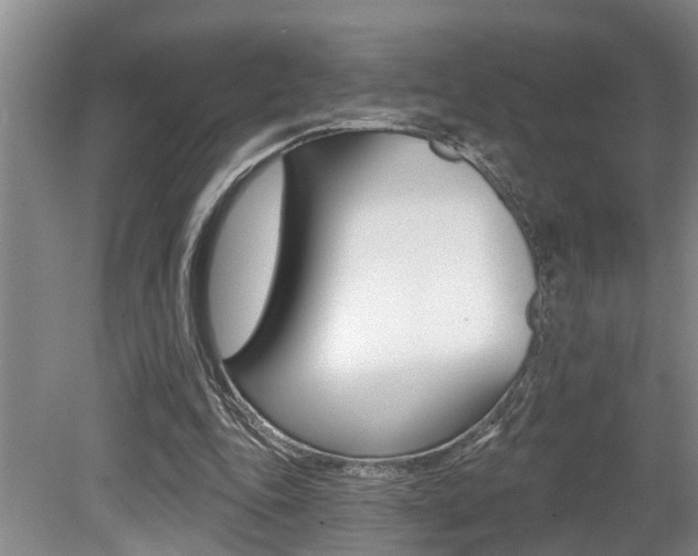 X0000079310343200611170900