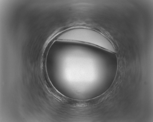 X0000079310344200611170900