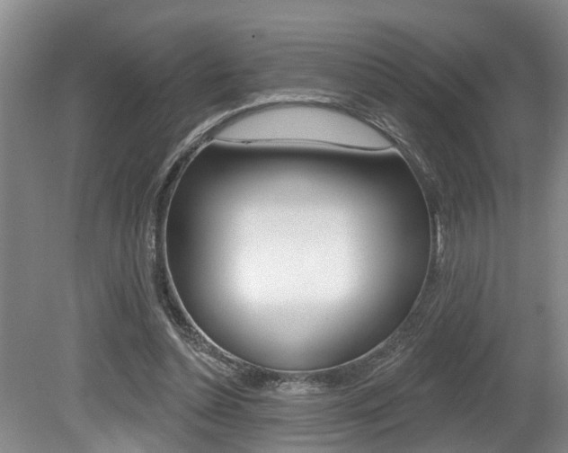 X0000079310348200611170900