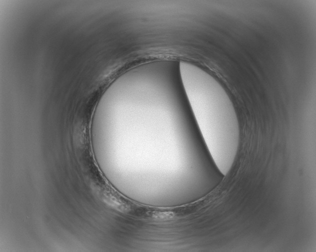 X0000079310355200611170901