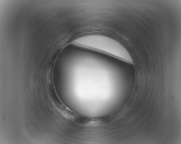 X0000079310364200611170901