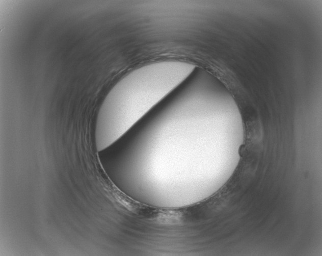 X0000079310369200611170901
