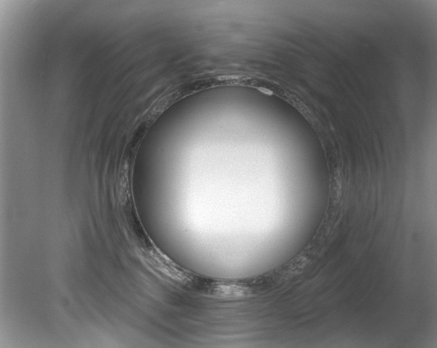 X0000079310376200611170901