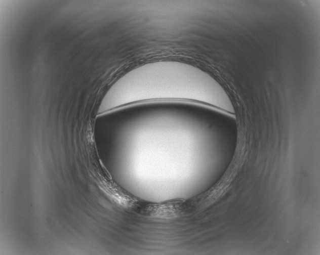 X0000079310384200611170901