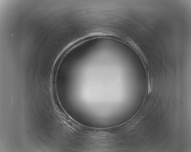 X0000079310387200611170900