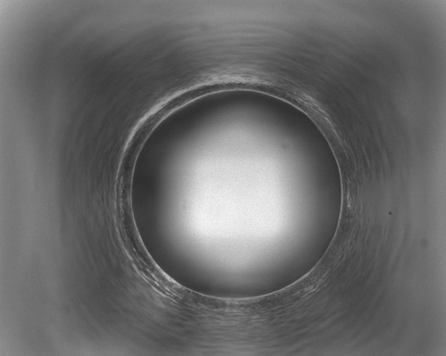 X0000079310388200611170900
