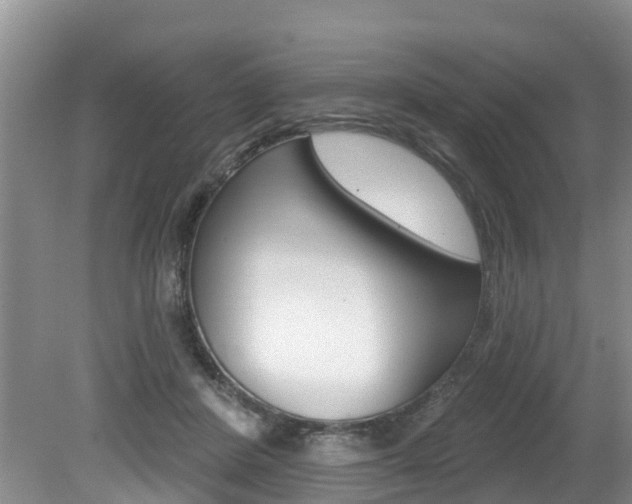 X0000079310408200611170900