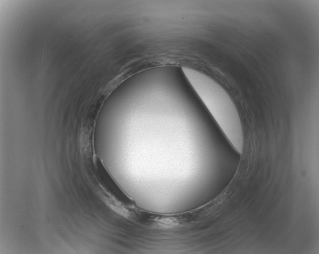 X0000079310409200611170900