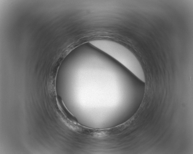 X0000079310411200611170900