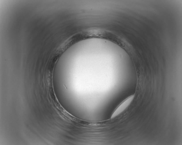 X0000079310413200611170900