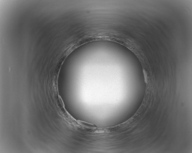 X0000079310415200611170900
