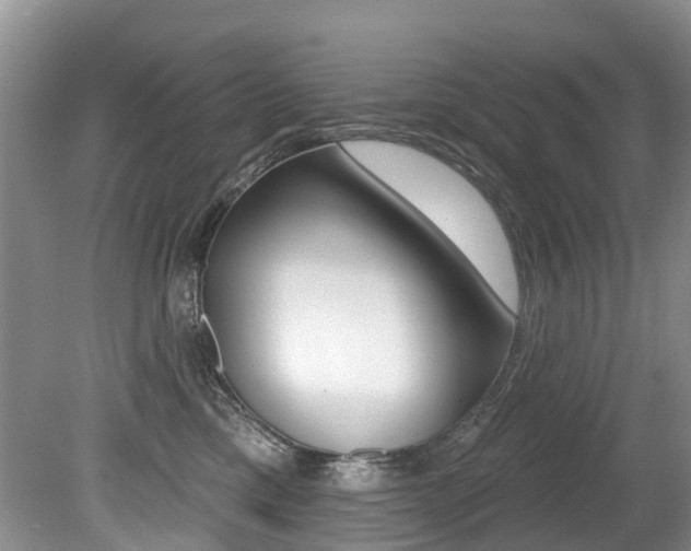 X0000079310425200611170900