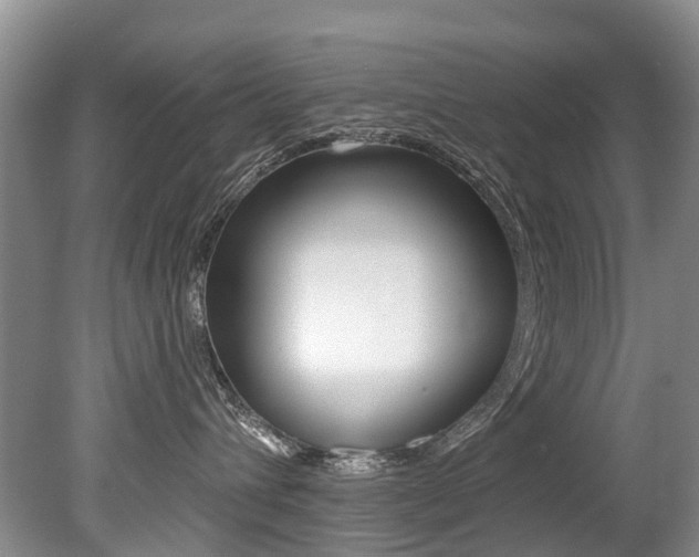 X0000079310432200611170859