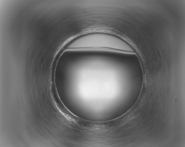 X0000079310438200611170859
