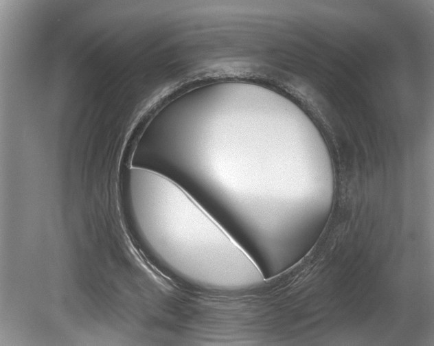 X0000079310439200611170859