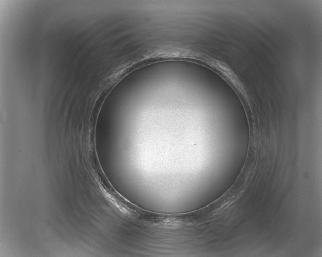 X0000079310441200611170859