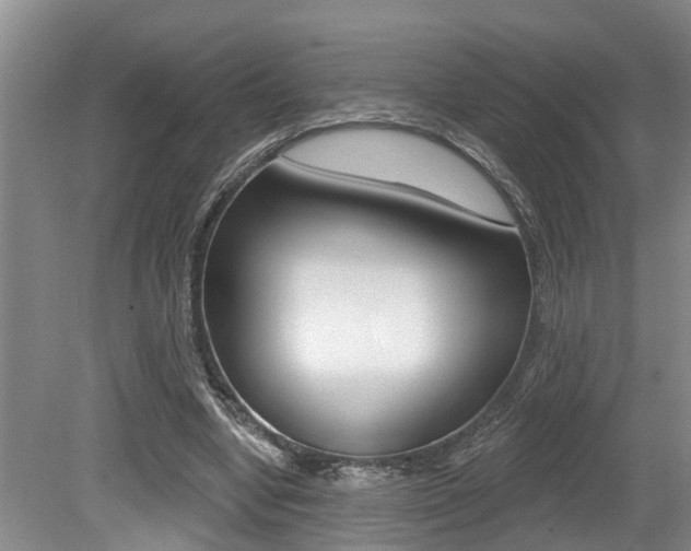 X0000079310442200611170859