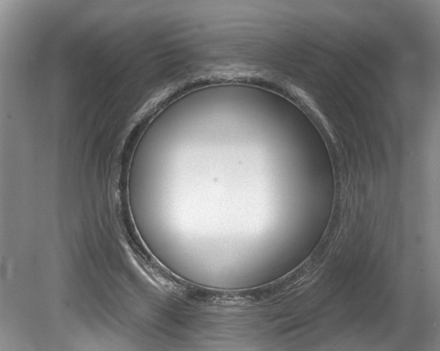 X0000079310443200611170859