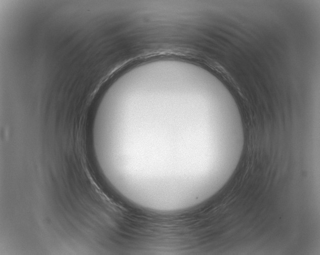 X0000079310444200611170859