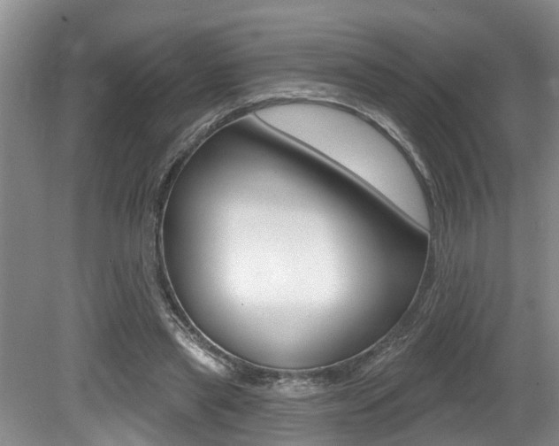 X0000079310445200611170859