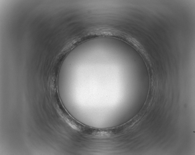 X0000079310449200611170859