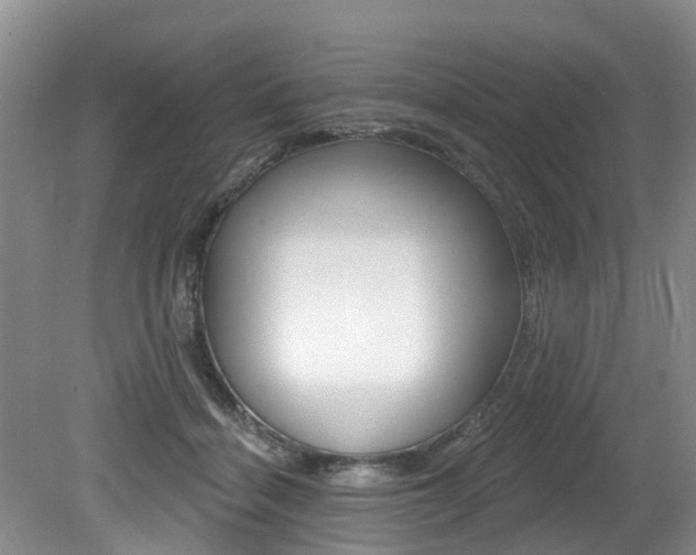 X0000079310460200611170859