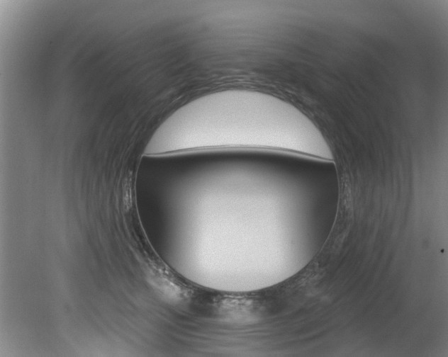 X0000079310471200611170859