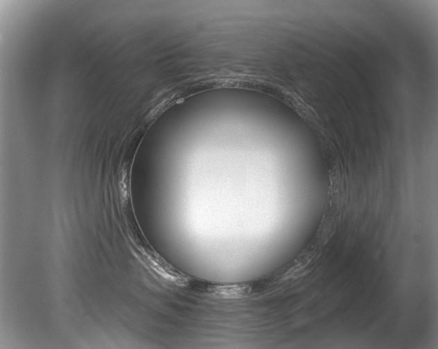 X0000079310479200611170859