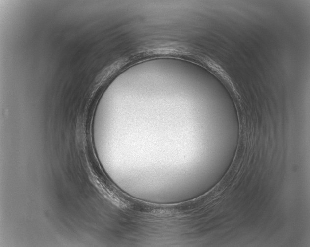 X0000079310482200611170859