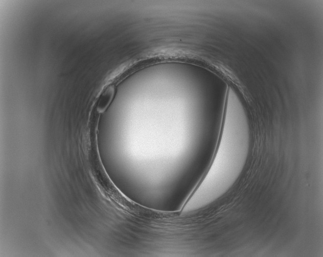 X0000079310488200611170859