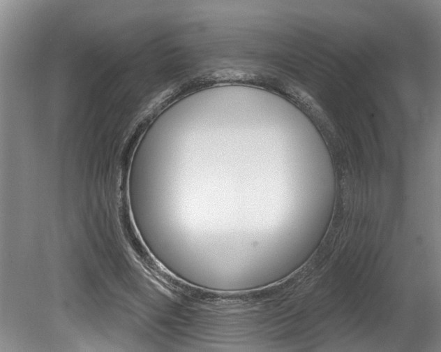 X0000079310490200611170858