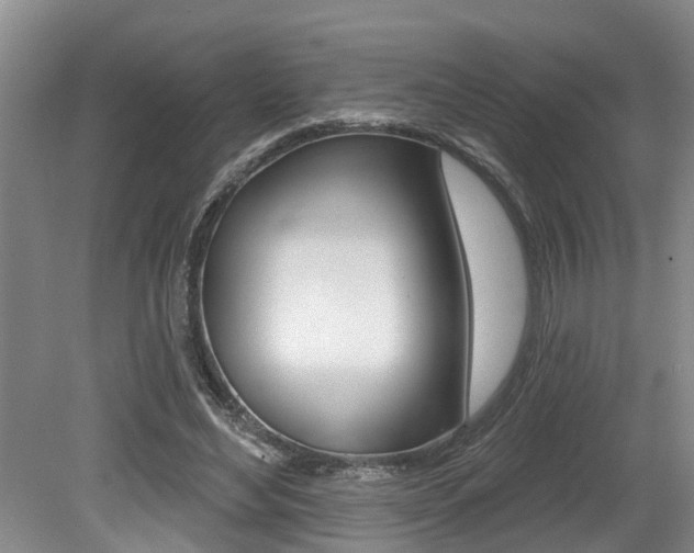 X0000079310492200611170858