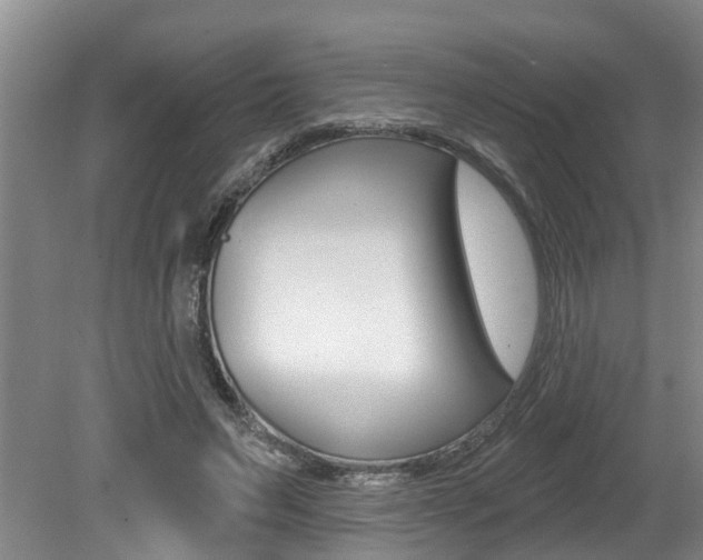 X0000079310495200611170858