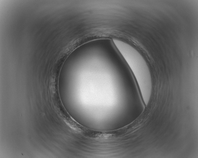 X0000079310497200611170858