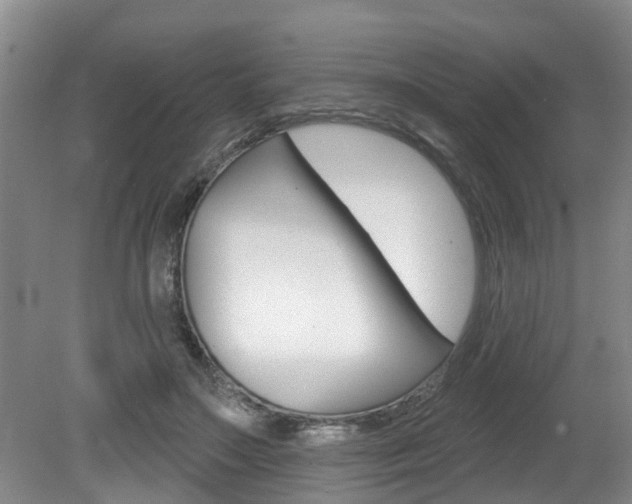 X0000079310499200611170858
