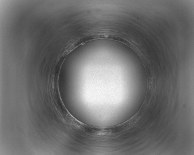 X0000079310504200611170858