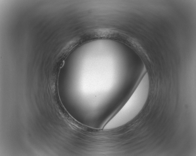 X0000079310505200611170858