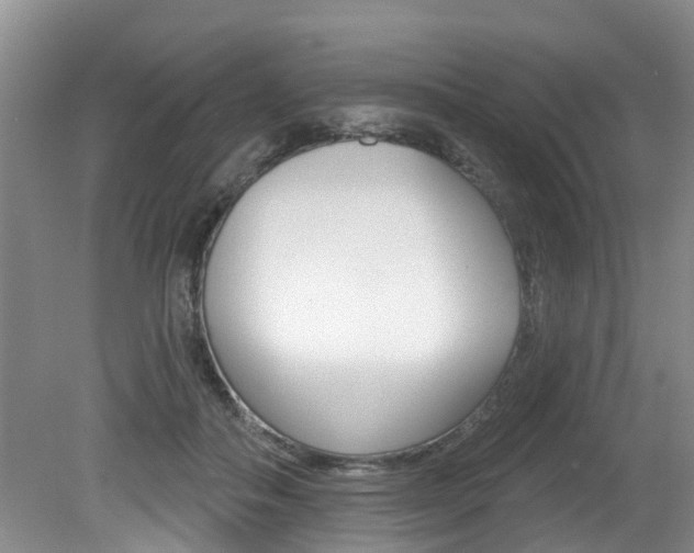 X0000079310506200611170858