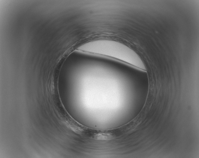 X0000079310508200611170858
