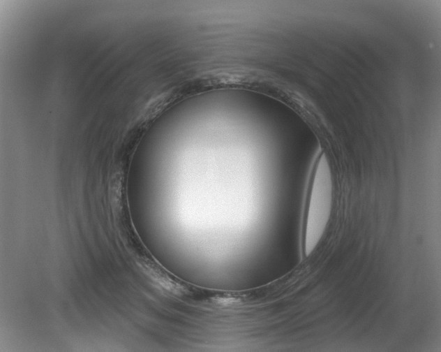 X0000079310509200611170858